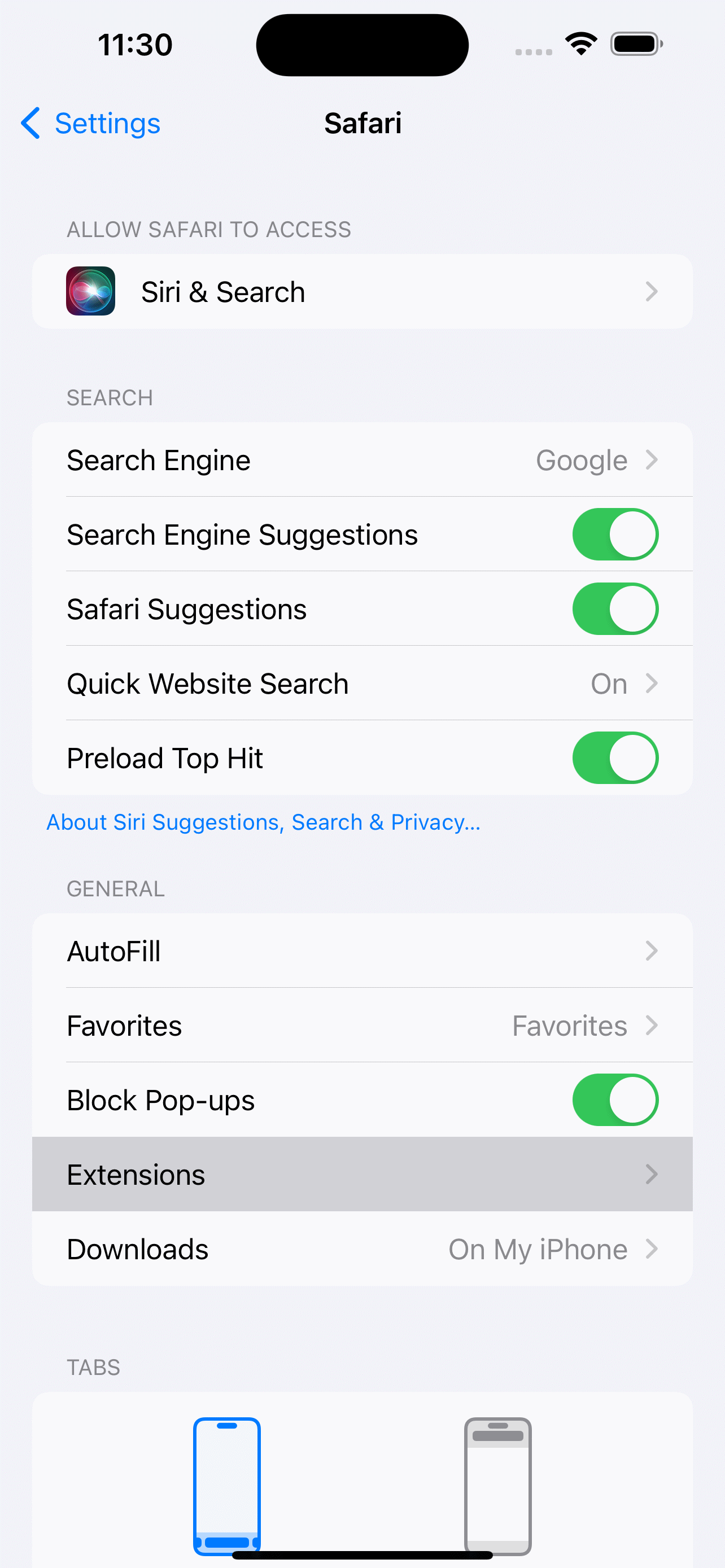 Safari extension settings on iPhone