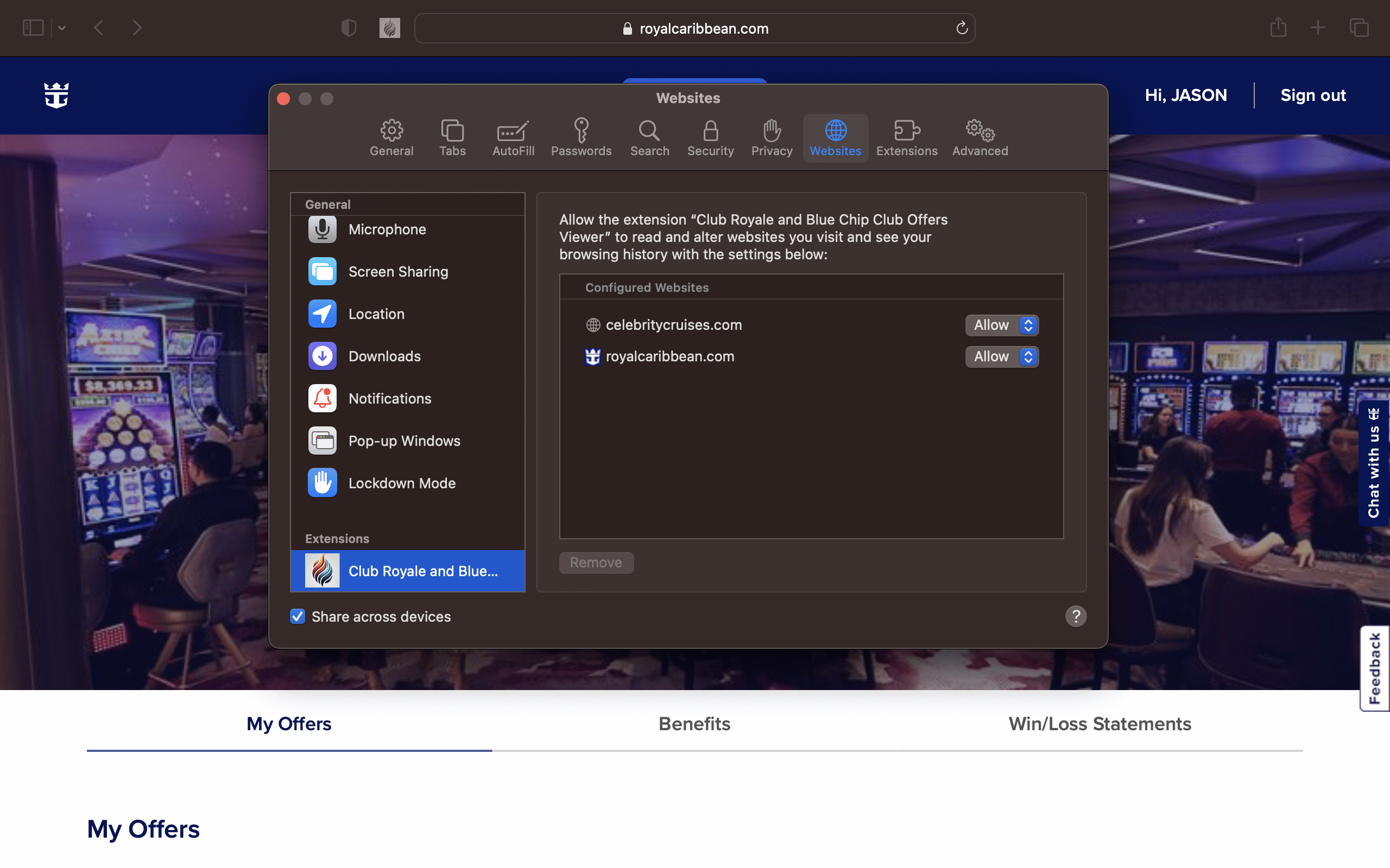 Enabling the extension in browser